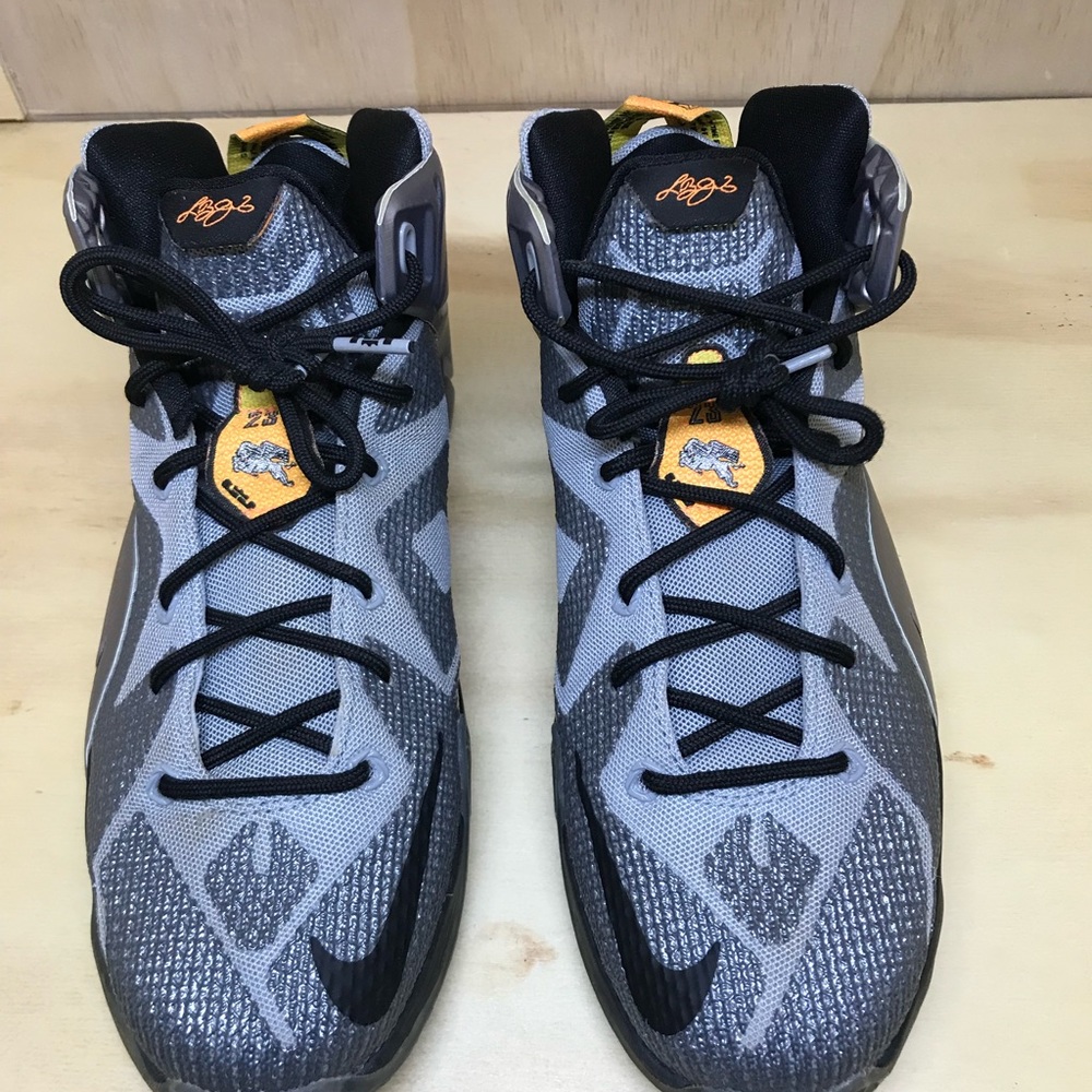 LeBron sneakers
